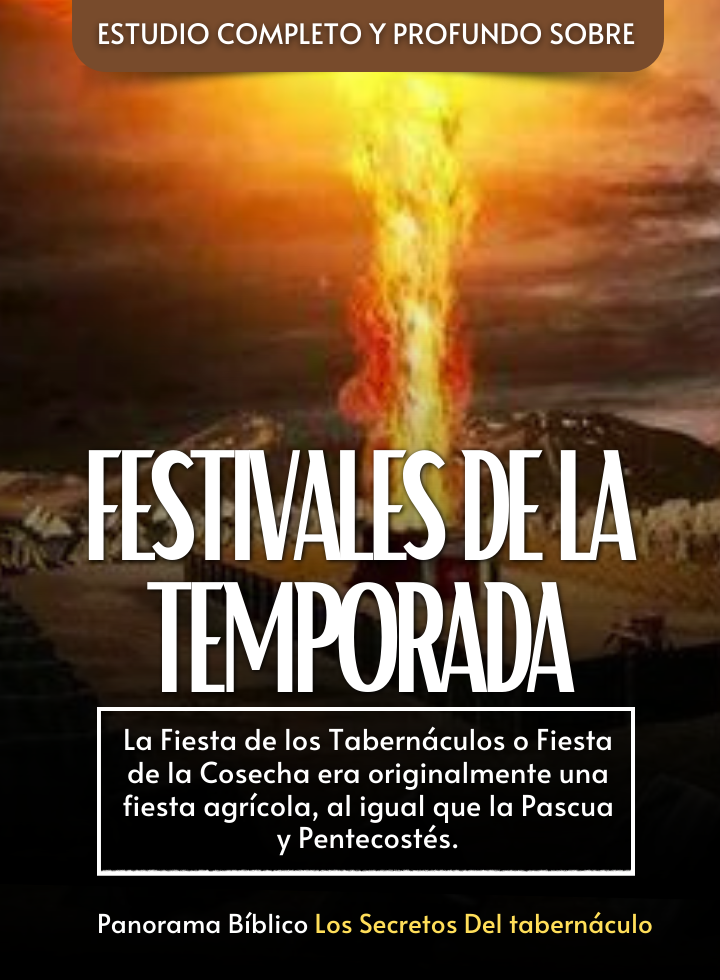 Festas.png